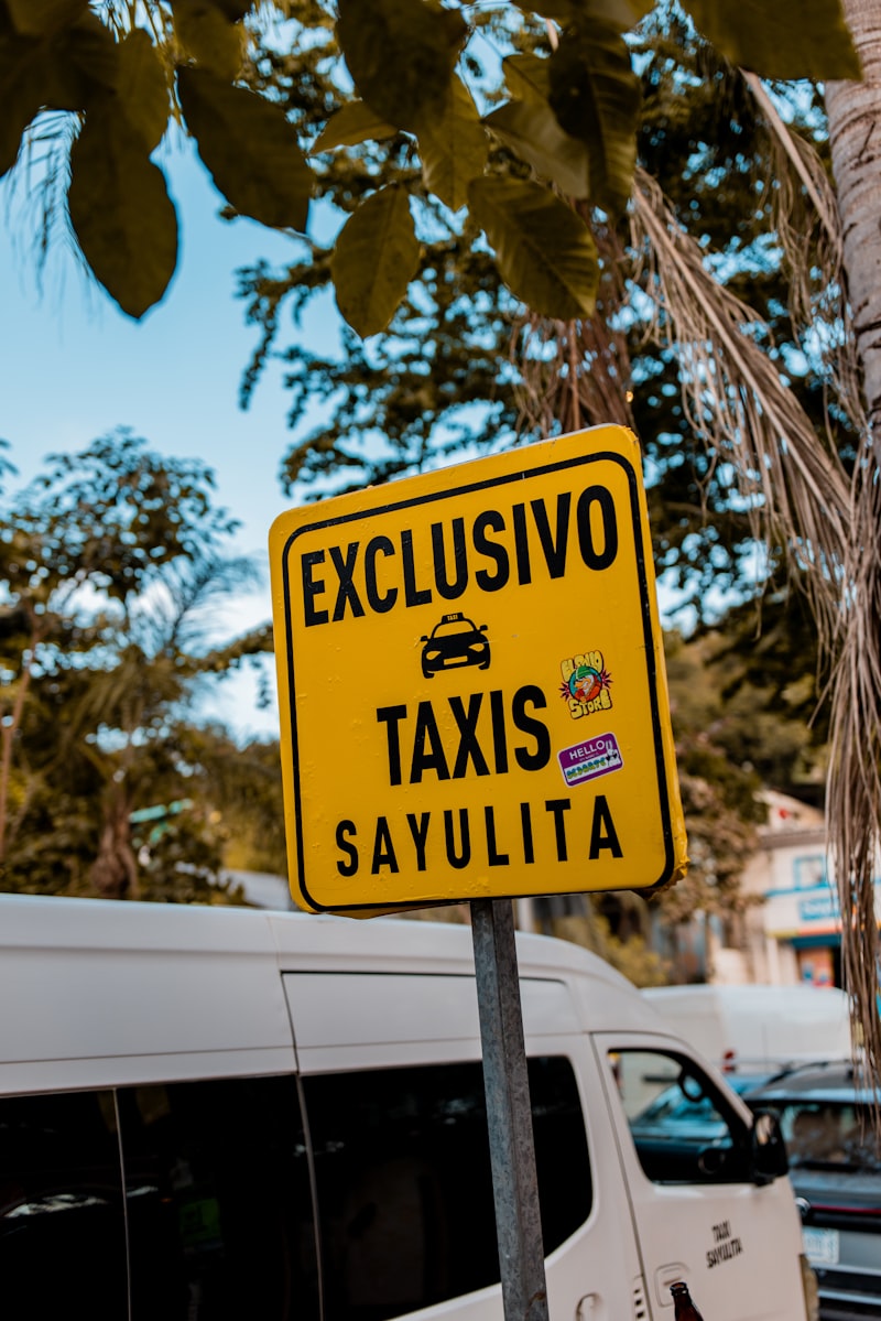 Acatafasia: El laberinto de la sintaxis