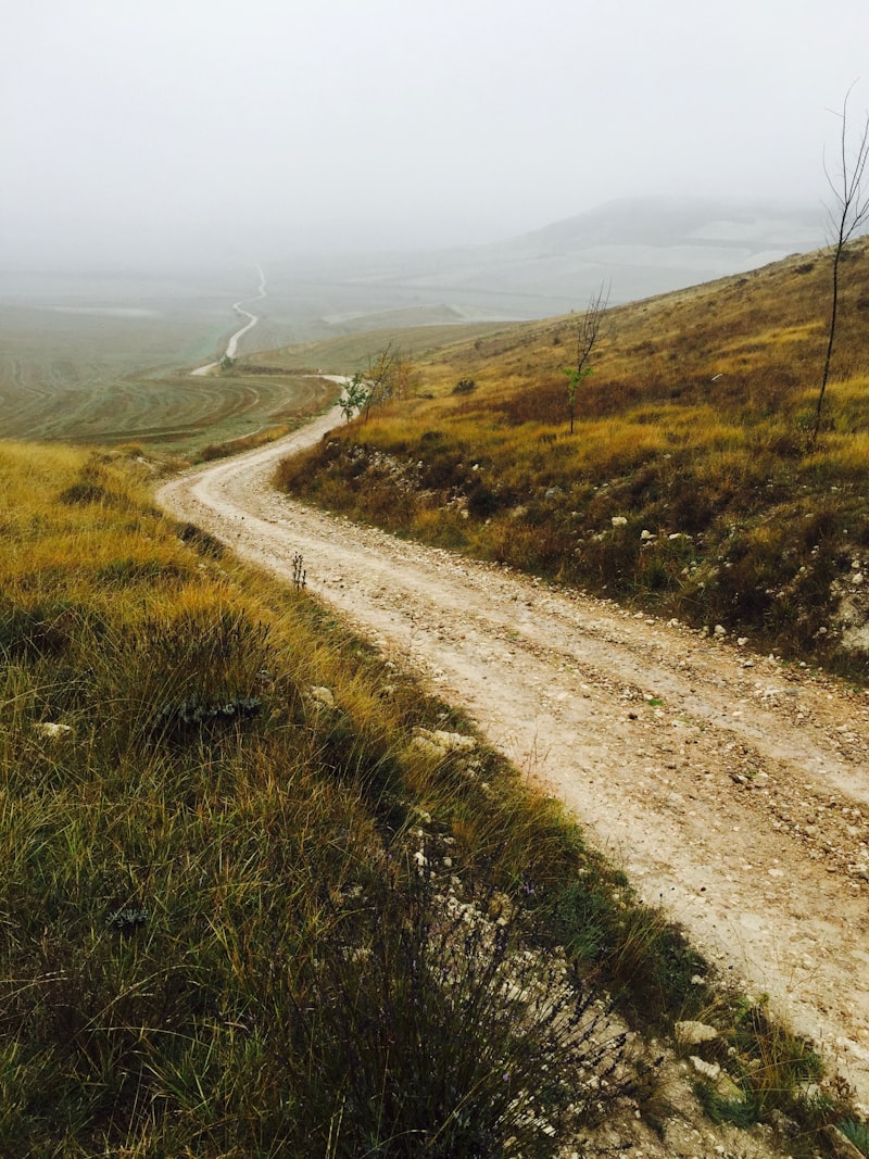 Aceptación: El camino a la paz
