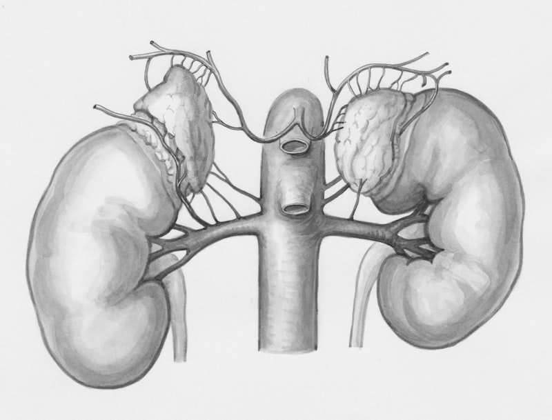 Adenoma: Comprendiendo el origen de los tumores benignos