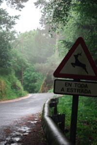 Adicción: El camino a la sobriedad