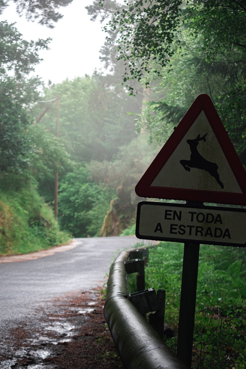 Adicción: El camino a la sobriedad