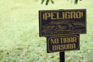 Ahistoricismo: El peligro de ignorar nuestra evolución