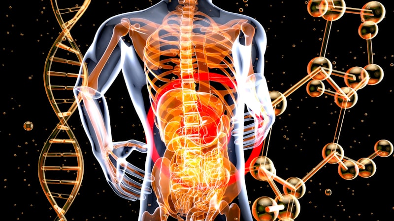 Alfa-MSH: El mensajero químico de la mente y el cuerpo