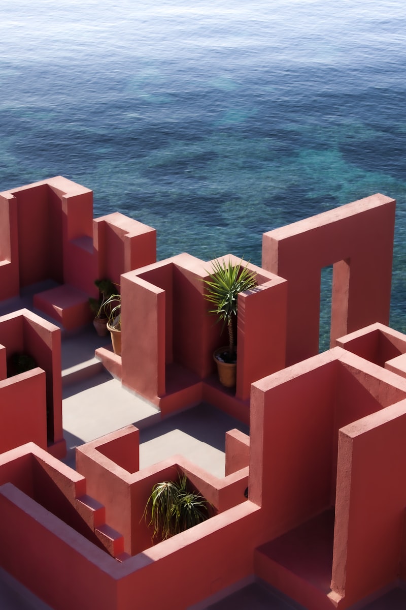 Alocorteza: La arquitectura oculta de nuestra evolución