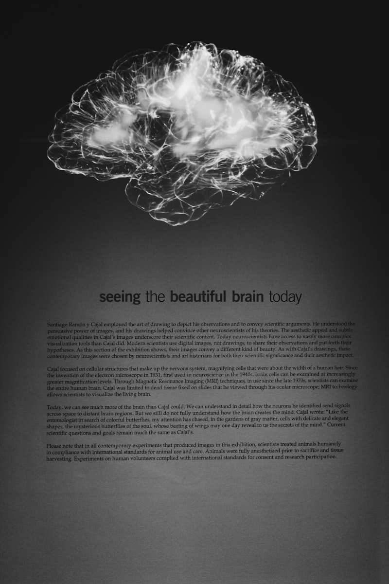 Análisis Cognitivo: Descifra los secretos de tu mente