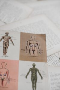 Anatomía espacial: El mapa oculto de tu cuerpo
