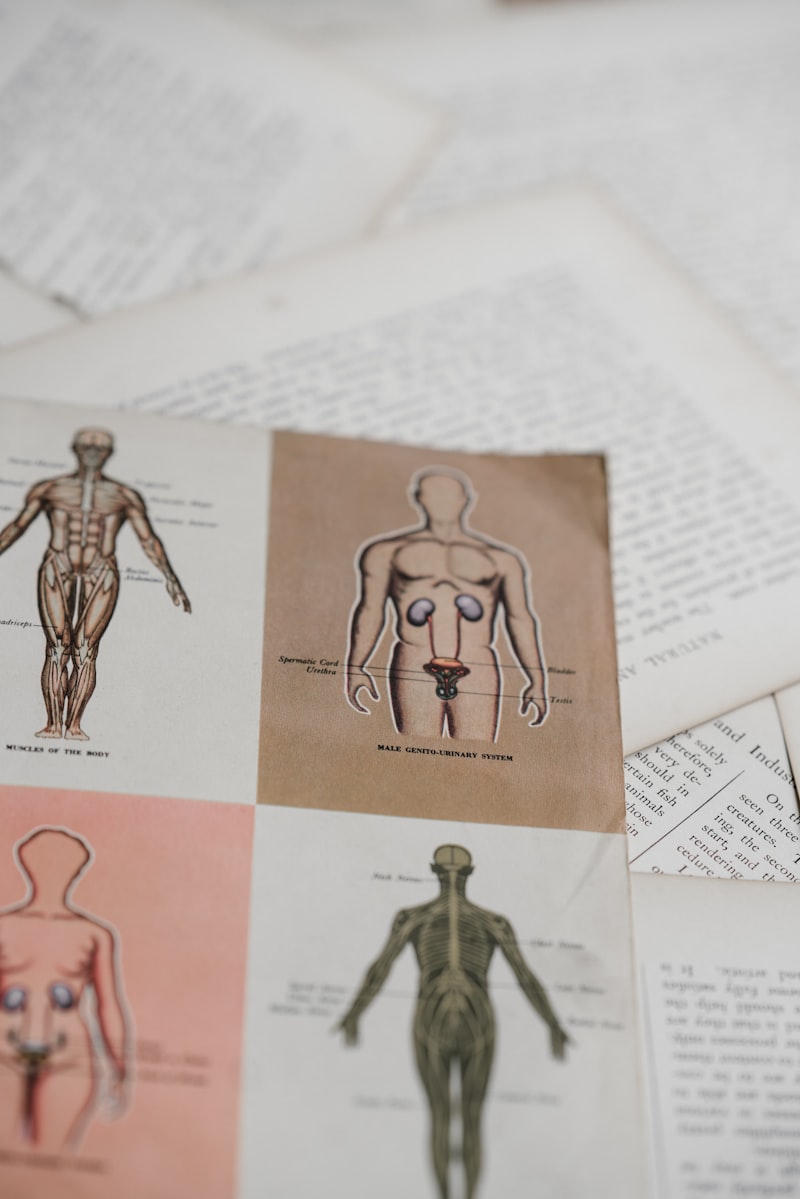 Anatomía espacial: El mapa oculto de tu cuerpo