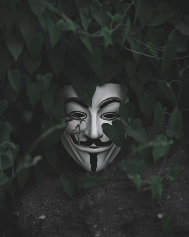 Anonimato: El poder de ocultar quiénes somos realmente