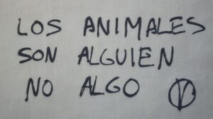 Apareamiento Asortativo: ¿Por qué elegimos a alguien igual?