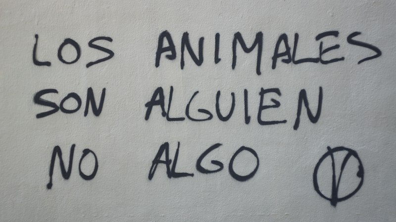 Apareamiento Asortativo: ¿Por qué elegimos a alguien igual?