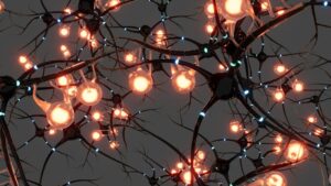 Arborización Neuronal: La arquitectura de nuestra mente