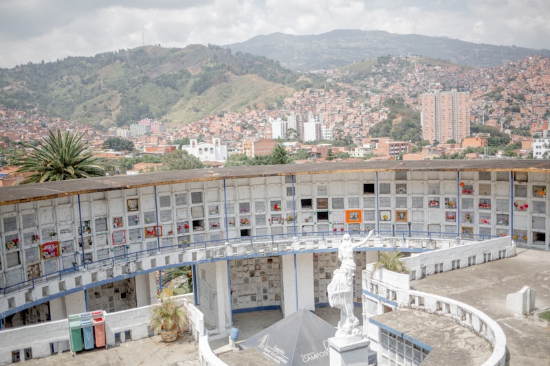 Archicorteza: El mapa de nuestra memoria ancestral