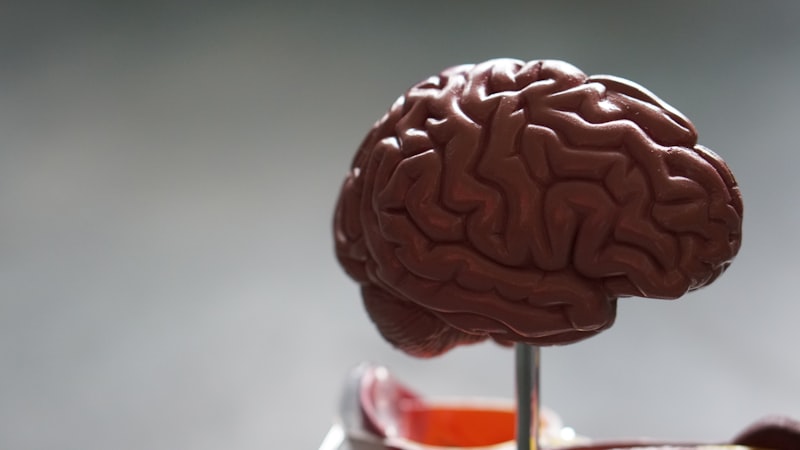 Aripiprazol: Estabilizando la mente con precisión