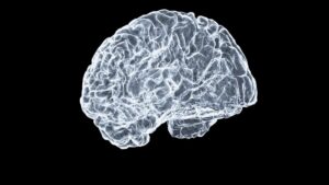 Aterosclerosis: La mente tras el daño vascular