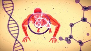 Atonía: La ciencia tras la pérdida del tono muscular