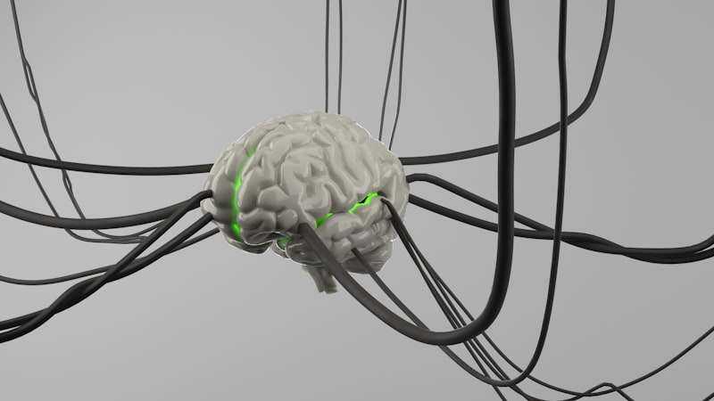 Biofeedback Alfa: Domina tu calma mental y cerebral