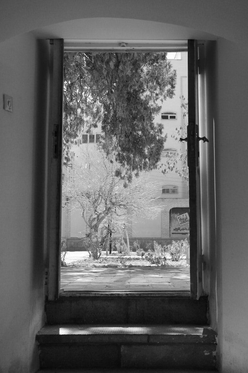 Cámara Anterior: La ventana que revela tu visión