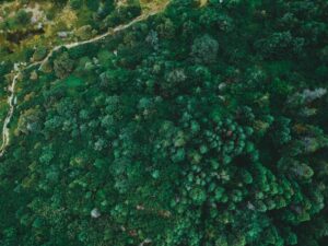 Característica Adquirida: ¿Moldea el entorno nuestra mente?