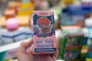 Células Madre Adultas: El potencial oculto de tu biología