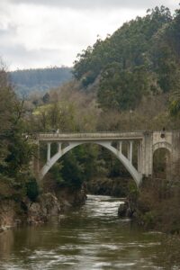 Comisura Blanca Anterior: El puente de tu consciencia