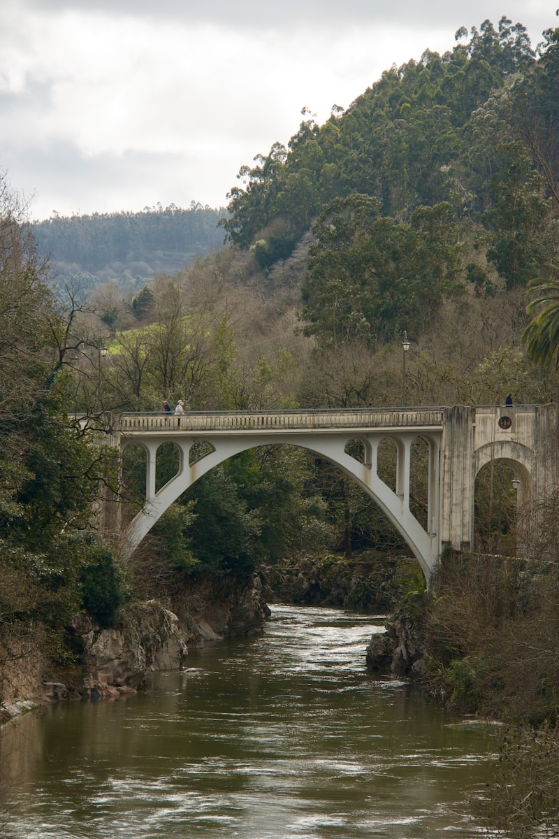Comisura Blanca Anterior: El puente de tu consciencia