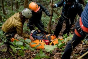 Comportamiento de escape: La ciencia de la supervivencia