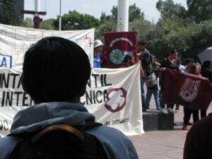 Conducta Agonística: La ciencia detrás del conflicto