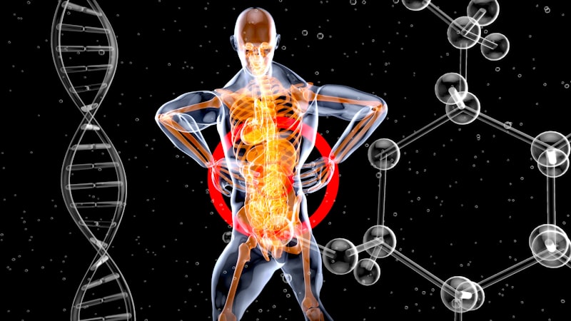 Control del Apetito: La Ciencia tras la Saciedad