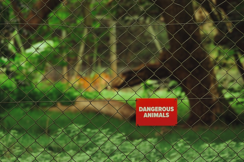 Defensa Antipredatoria: El instinto de supervivencia animal
