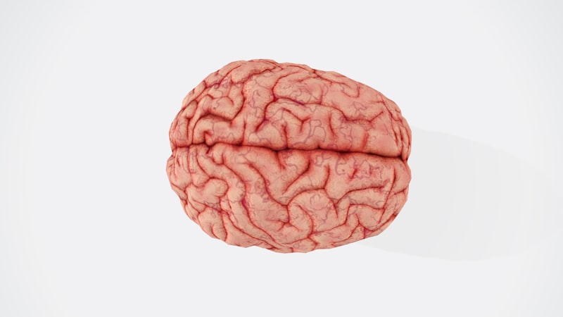 Distancia Aparente: Cómo tu cerebro construye la realidad