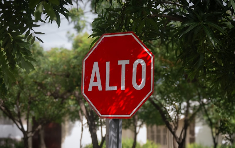 Duelo anticipatorio: Sanar antes de decir adiós