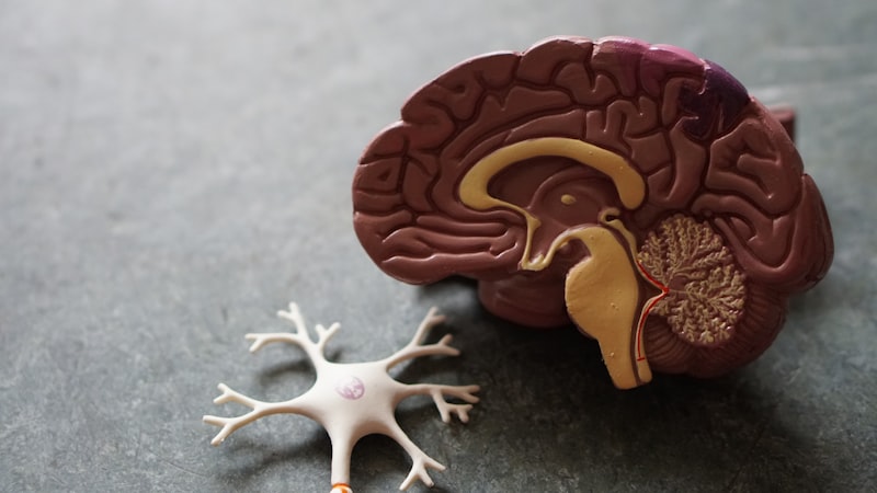 Efectos Anticolinérgicos: Cómo alteran tu mente y cuerpo