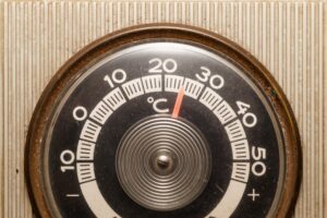 El Appestat: El termostato biológico de tu apetito