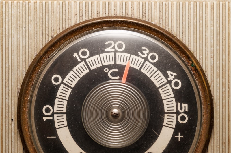 El Appestat: El termostato biológico de tu apetito