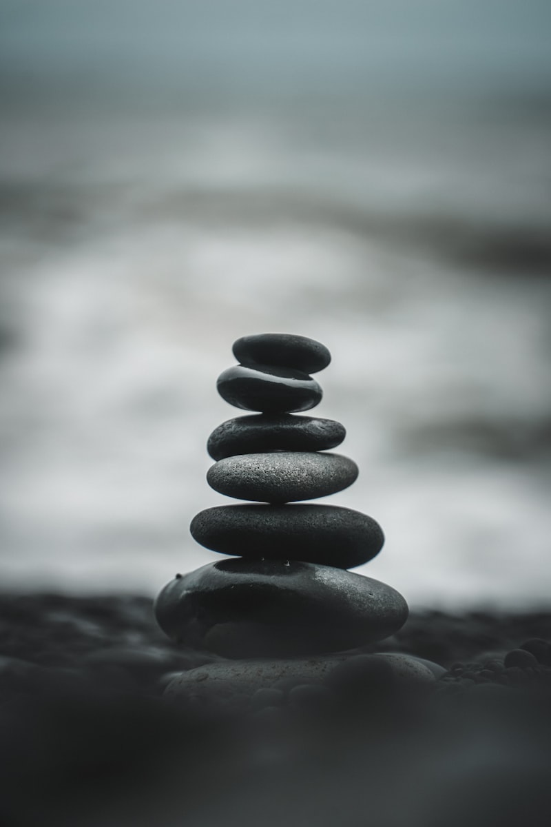 Equilibrio Afectivo: El arte de vivir en calma emocional
