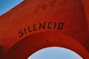 Estado Agéntico: Cuando la obediencia anula tu conciencia