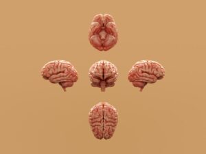 Estructuras Cognitivas: El orden que organiza tu mente