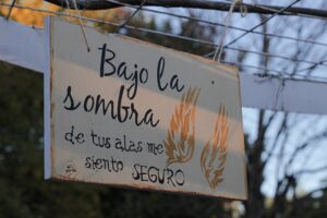 Etapa de Ira: Comprender la furia tras una pérdida