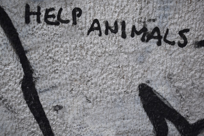 Ética Animal: Más allá del bienestar, una nueva conciencia