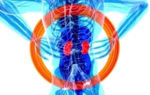 Insuficiencia Suprarrenal: El impacto oculto en tu salud
