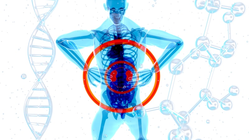 Interacción Inmunológica: El lenguaje secreto del cuerpo