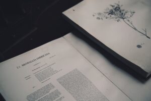 La Ámpula: Del objeto sagrado a la memoria biológica