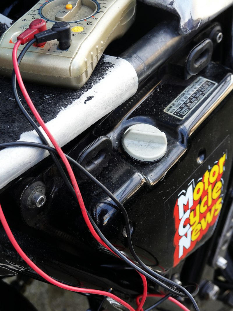 Marcha atáxica: El caos del movimiento y el control motor
