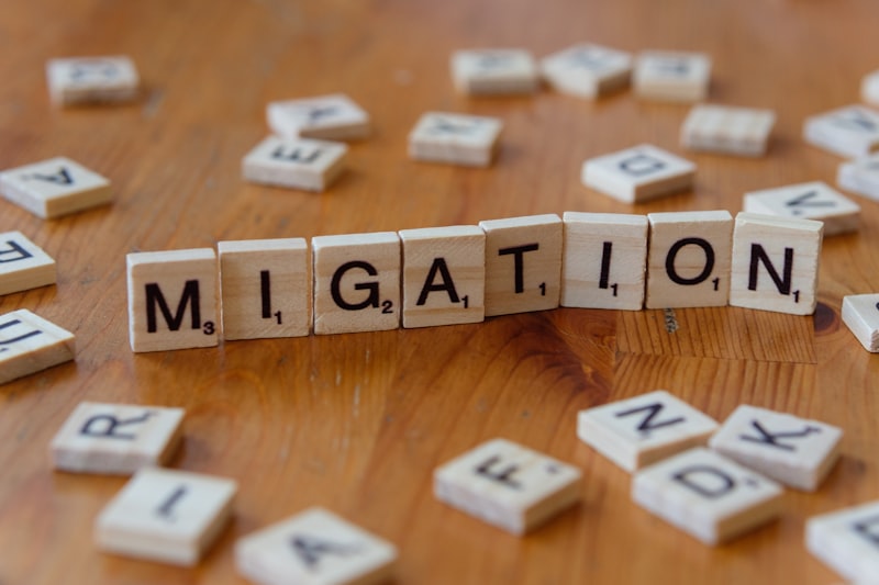 Migración por Amenidades: Elige tu entorno, mejora tu vida
