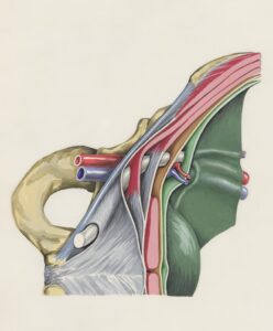 Nistagmo Posterior: La inercia del sistema vestibular