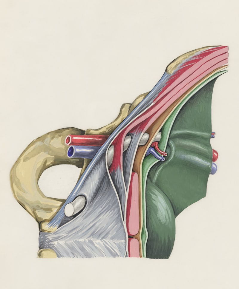Nistagmo Posterior: La inercia del sistema vestibular
