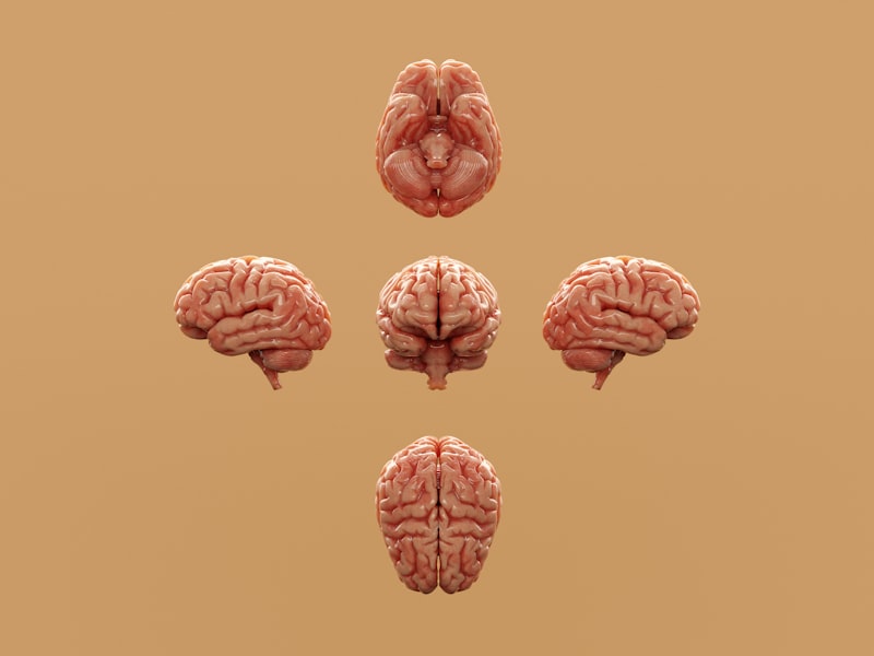 Paradoja del Arpegio: Cómo tu cerebro crea orden sonoro