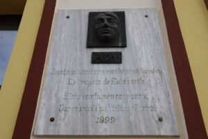 Placa Amiloide: El rastro biológico de la memoria perdida