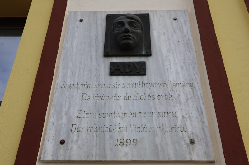 Placa Amiloide: El rastro biológico de la memoria perdida
