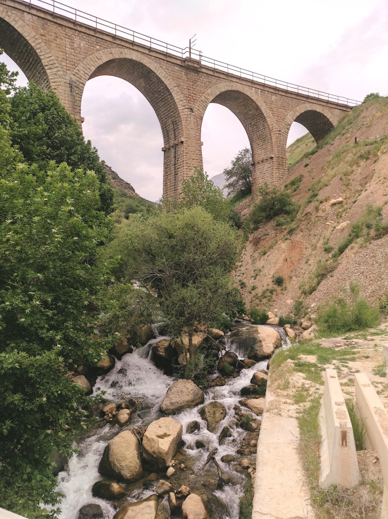 Raíz Anterior: El puente motor de nuestra conducta